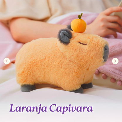 Capivara 25cm