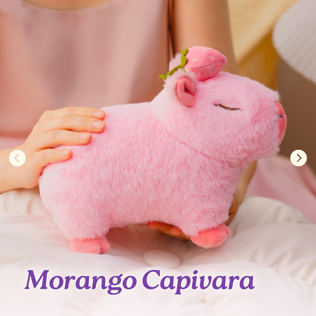 Capivara 25cm