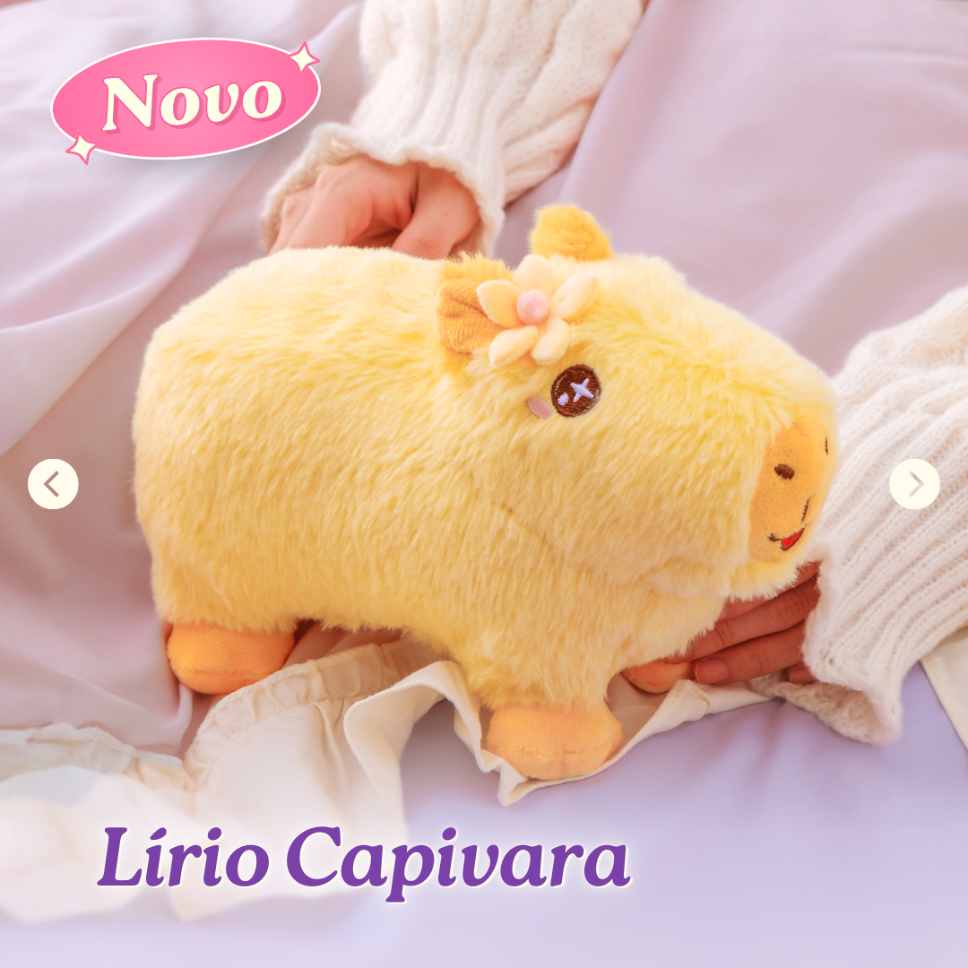 Capivara 25cm